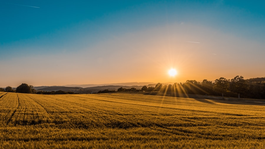AgroSensor Café